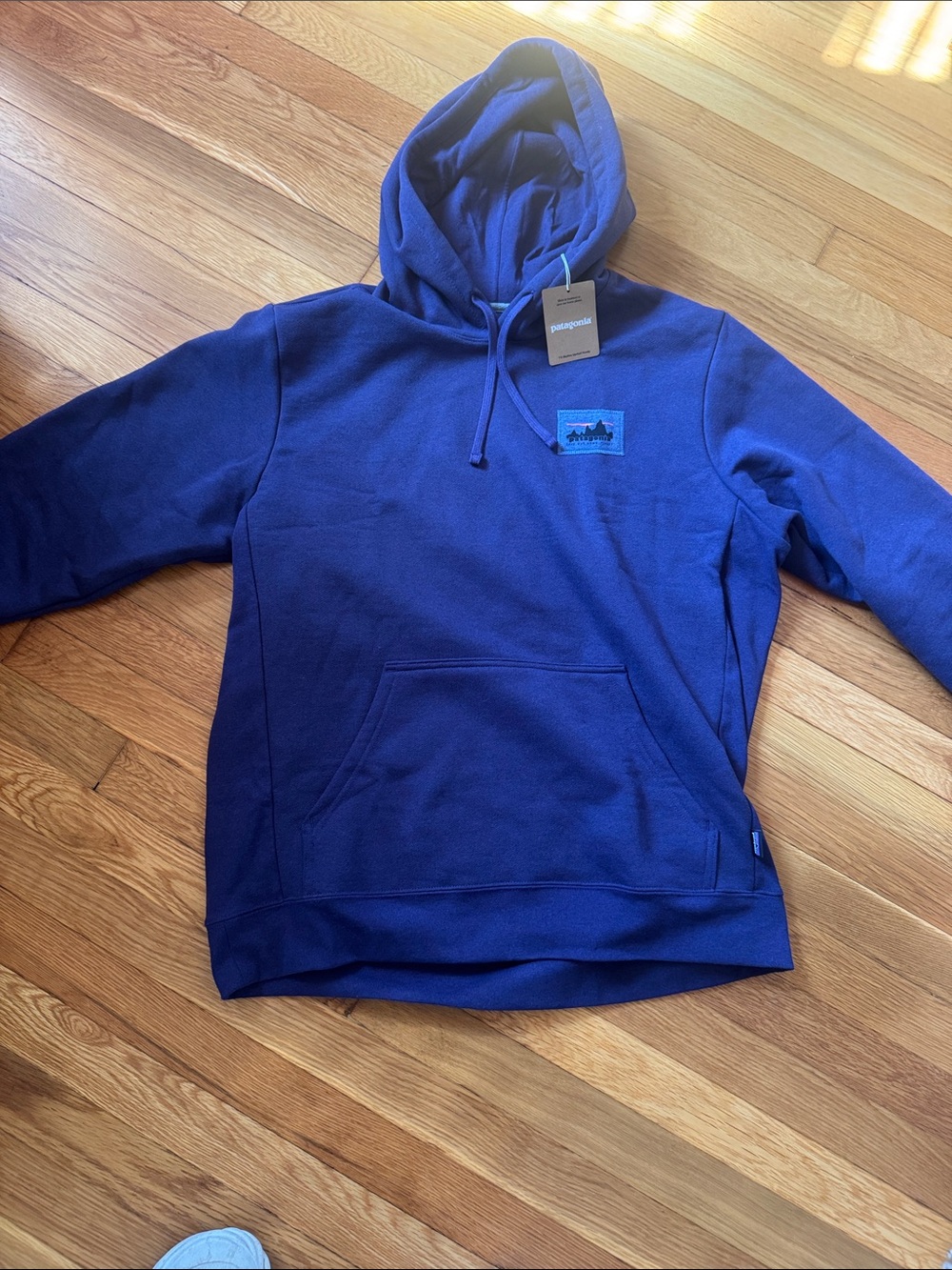 Patagonia Men’s Blue Pullover Hoodie